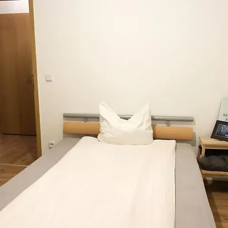Flat For 6,best Price For Month, For Workers Apartment Elsteraue