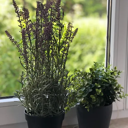 Flat For 6,best Price For Month, For Workers