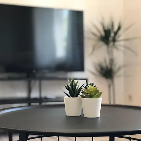 Appartement Flat For 6,best Price For Month, For Workers