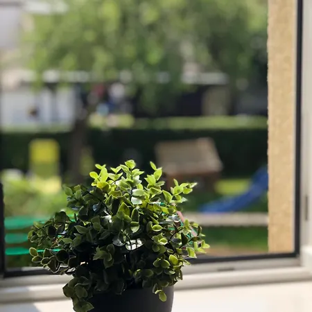 Flat For 6,best Price For Month, For Workers Appartement
