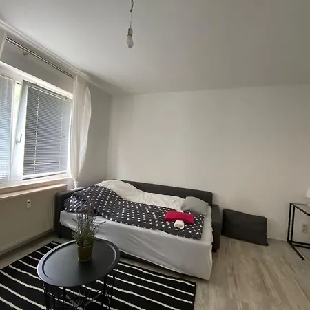 Appartement Flat For 6,best Price For Month, For Workers Elsteraue