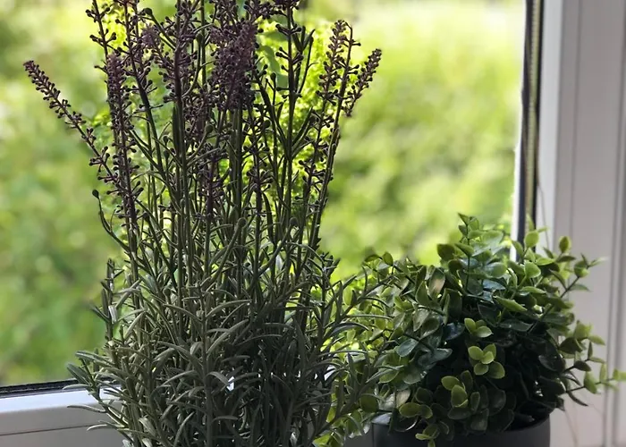 Flat For 6,best Price For Month, For Workers